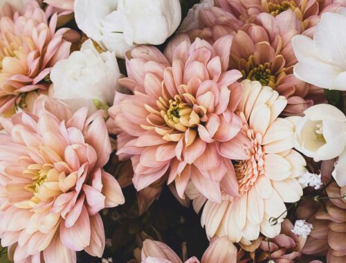 3 Simple Tips For Using Pink
